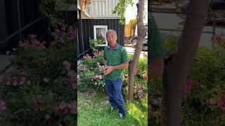 Musa Bektaş - Yorgunum Dostlarim Muhteşem Şarki