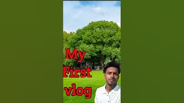 Vloog video