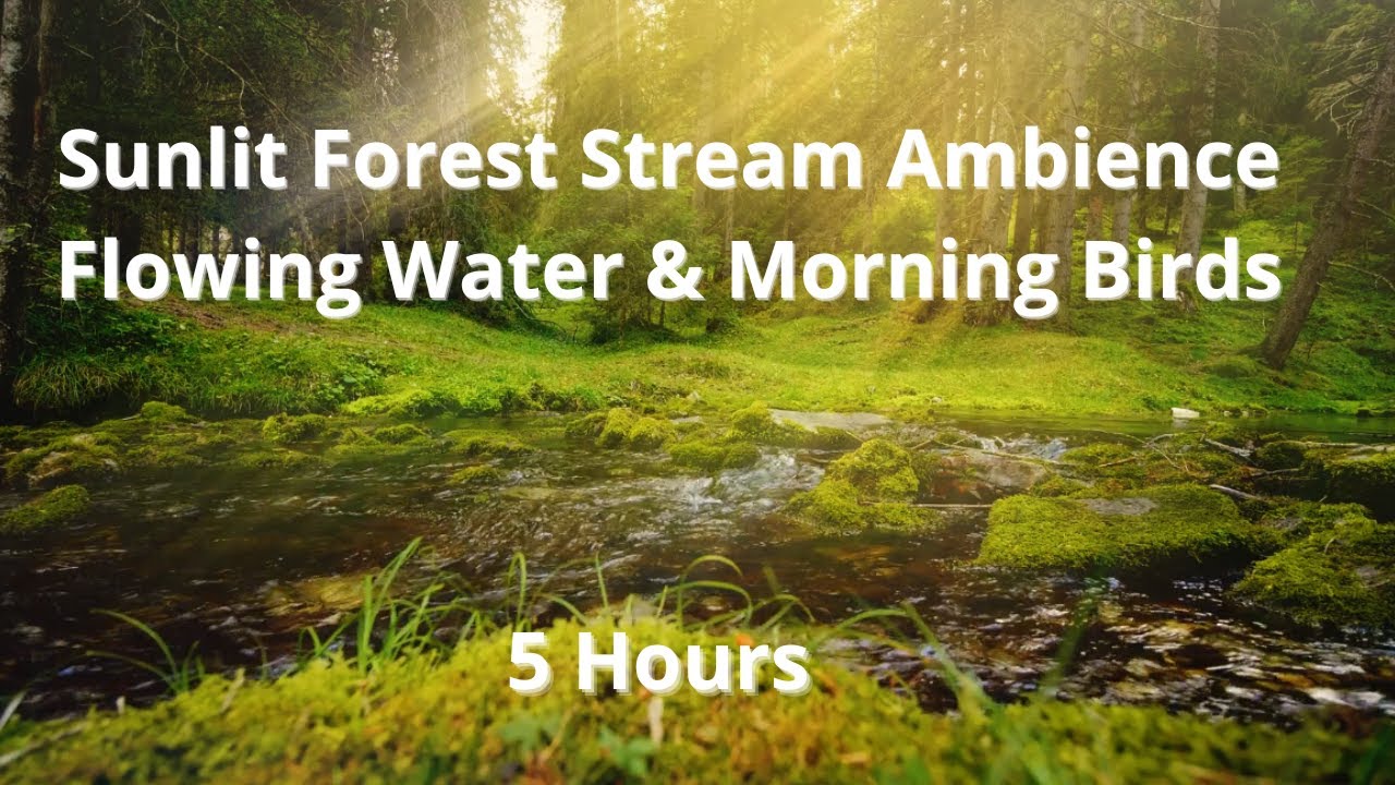 5 Hours Sunlit Forest Stream Ambience – Flowing Water, Morning Birds & Peaceful Nature Sounds