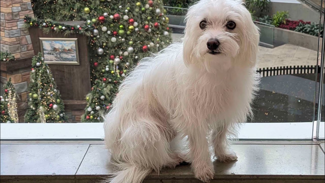 Kod kendo build (pilgrammed)