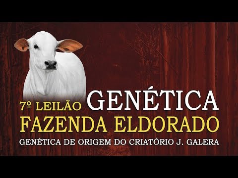 Lote 34   Paris I FIV CGAL   CGAL 827   Paris III FIV CGAL   CGAL 841