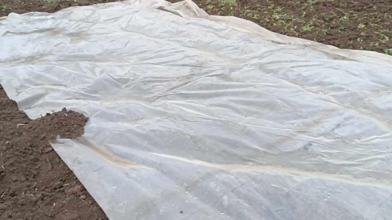 Gök Gürültülü Yağışlarda Yağmur Hasatı
