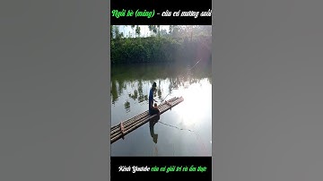 Ngồi Mảng Câu Cá Mương Suối | Câu Cá Giải Trí Và Ẩm Thực #shorts