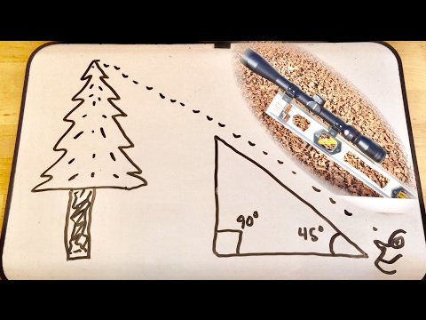 How to measure the height of a tree