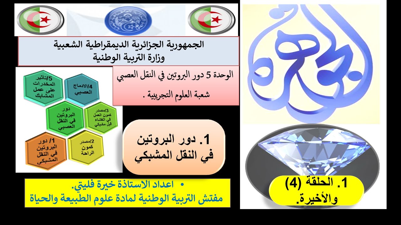 الحلقة الرابعة والأخيرة من دور البروتين في النقل المشبكي