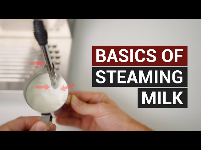 Learn the art of steaming milk like a pro, with or without a steam wan