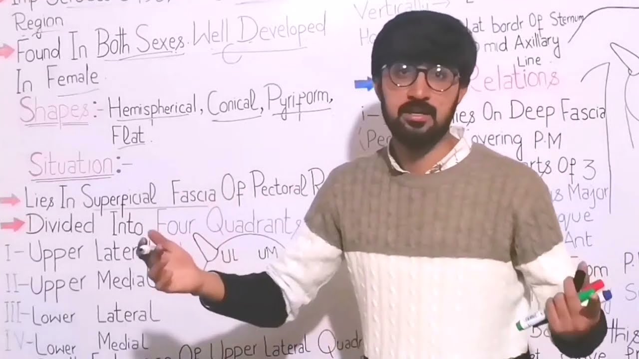 Pectoral Region Part1Shape, Situation, Quadrants& Extent Of Breast