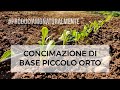 Concimazione di Base per un piccolo Orto
