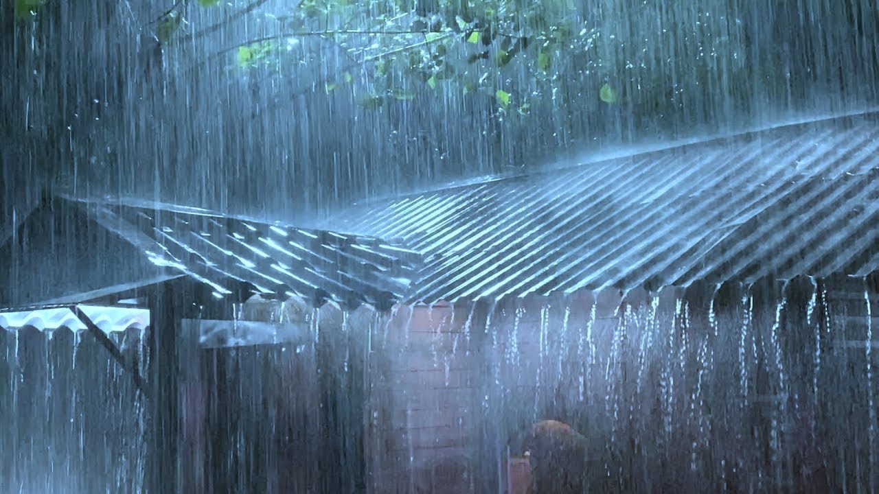 Fall Asleep Instantly with Very Heavy Rain & Powerful Thunder on a Tin Roof at a Cabin in the Forest
