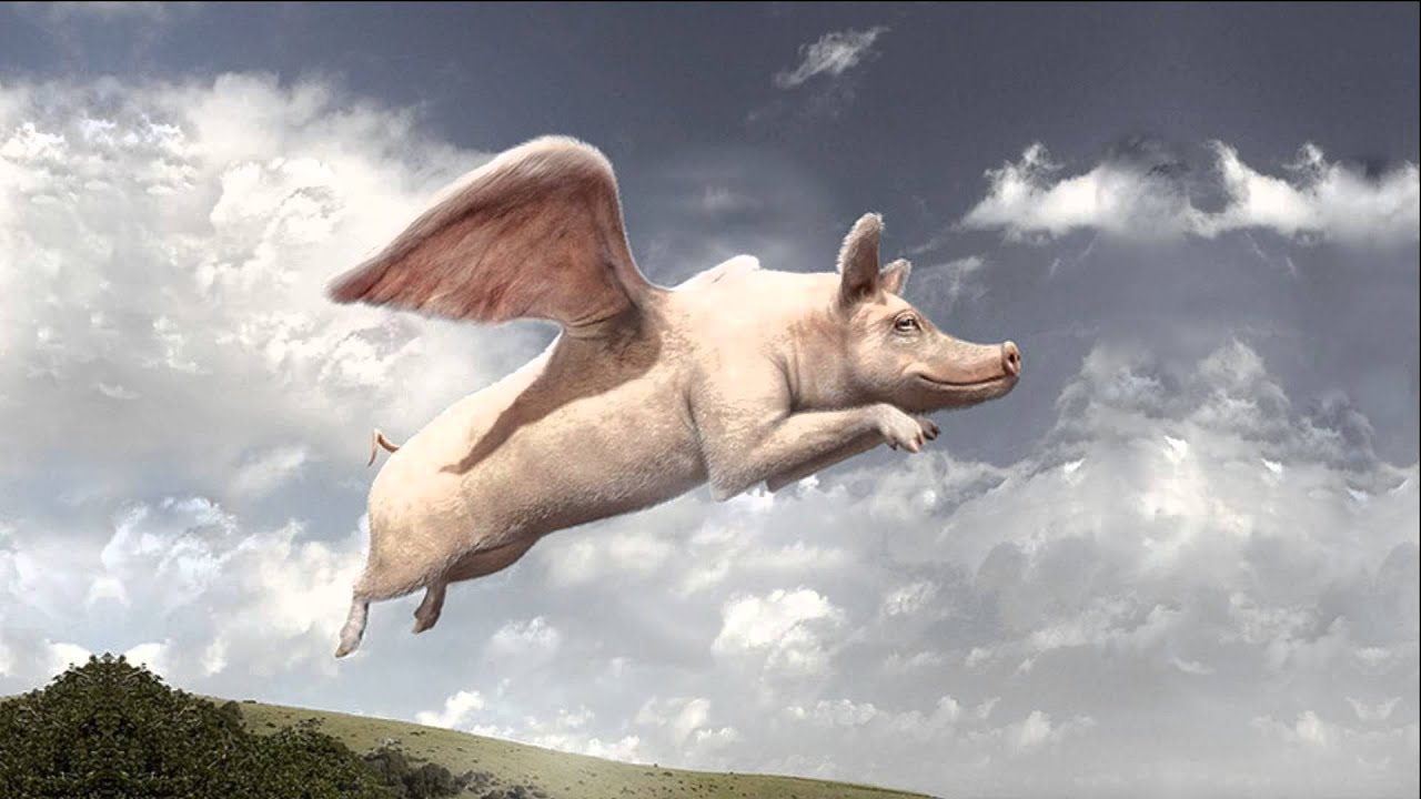 АукцЫон - Дорога. - YouTube