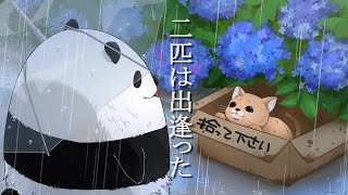 テイコウペンギンのパンダはうざいし腹黒い 本当はいいやつという意見も めぐみとくぅちゃんのお役立ち情報