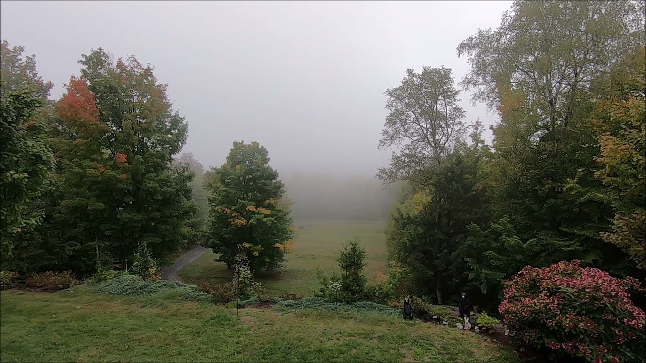 Ambient sound and scenery 3 October 2021 Red Fox Manor One Hour