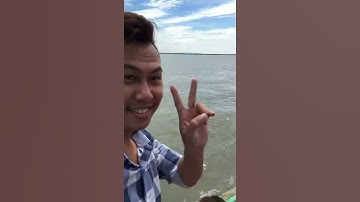 Lễ Hội Nghinh Ông Ở Thị Trấn Vàm Láng Huyện Gò Công Đông Tỉnh Tiền Giang