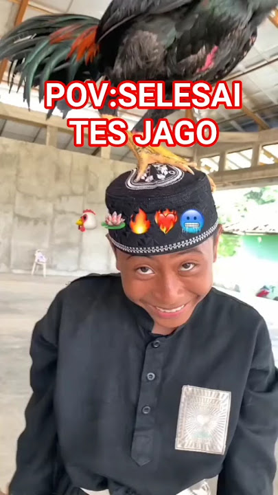 Rasa Senang Ketika Selesai Tes Jago #psht #pshtpusatmadiun #shterate