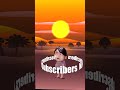 No Subscriber , Subscriber Now  #animation #b3d #myanmarcartoon