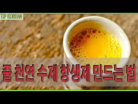 감염을 치료해 줄 천연 수제 <strong>항생제</strong> 만드는 법