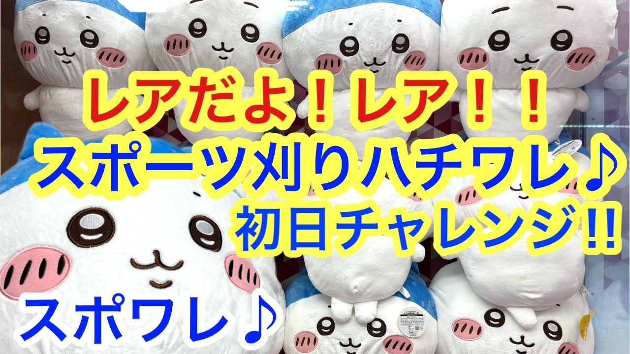 ちいかわ BOO！BIGぬいぐるみ ちいかわ ハチワレ ハロウィン - ぬいぐるみ