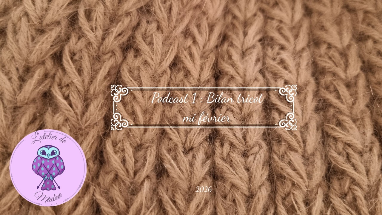 Podcast 1 2026 - Bilan tricot mi février