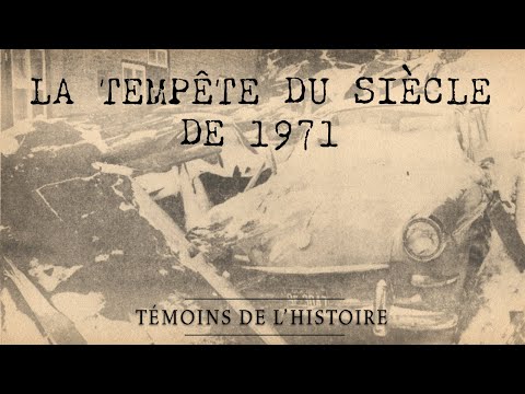 Témoins de l'histoire: Tempête du siècle