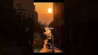 Zeynep Bastık - Lan