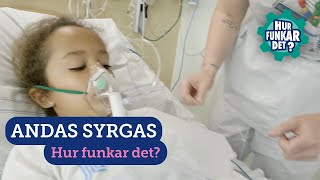 Andas Syrgas