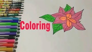 Coloring Poinsettia | Drawing For Kids | Coloring page | Learn Colors | Kid NN #12