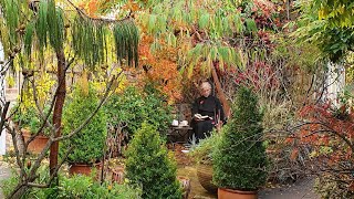 Morning Prayer – Tuesday, 10th November 2020