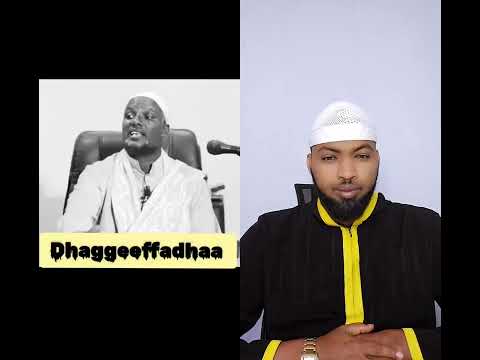 Ergaa Bareedaa Shek Abdusalaam Kadir 