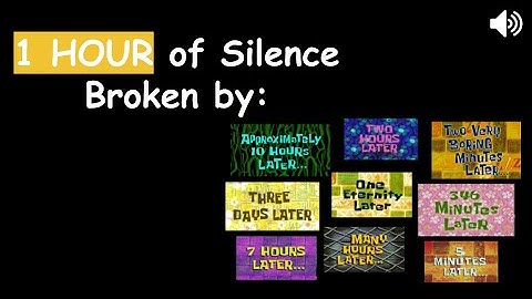 1 Hour of Silence Broken by Different Spongebob Time Stamps