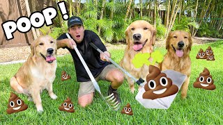 Poop Scooping For My Three Big Dogs ! What Happens ?!