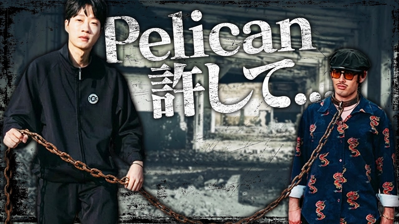 Pelican許して...レート吸わないで...【Overwatch】