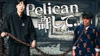 Pelican許して...レート吸わないで...【Overwatch】