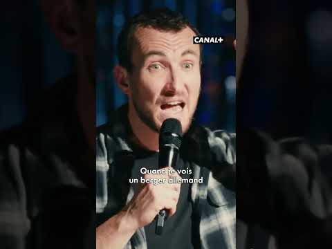 Ces cons de chiens