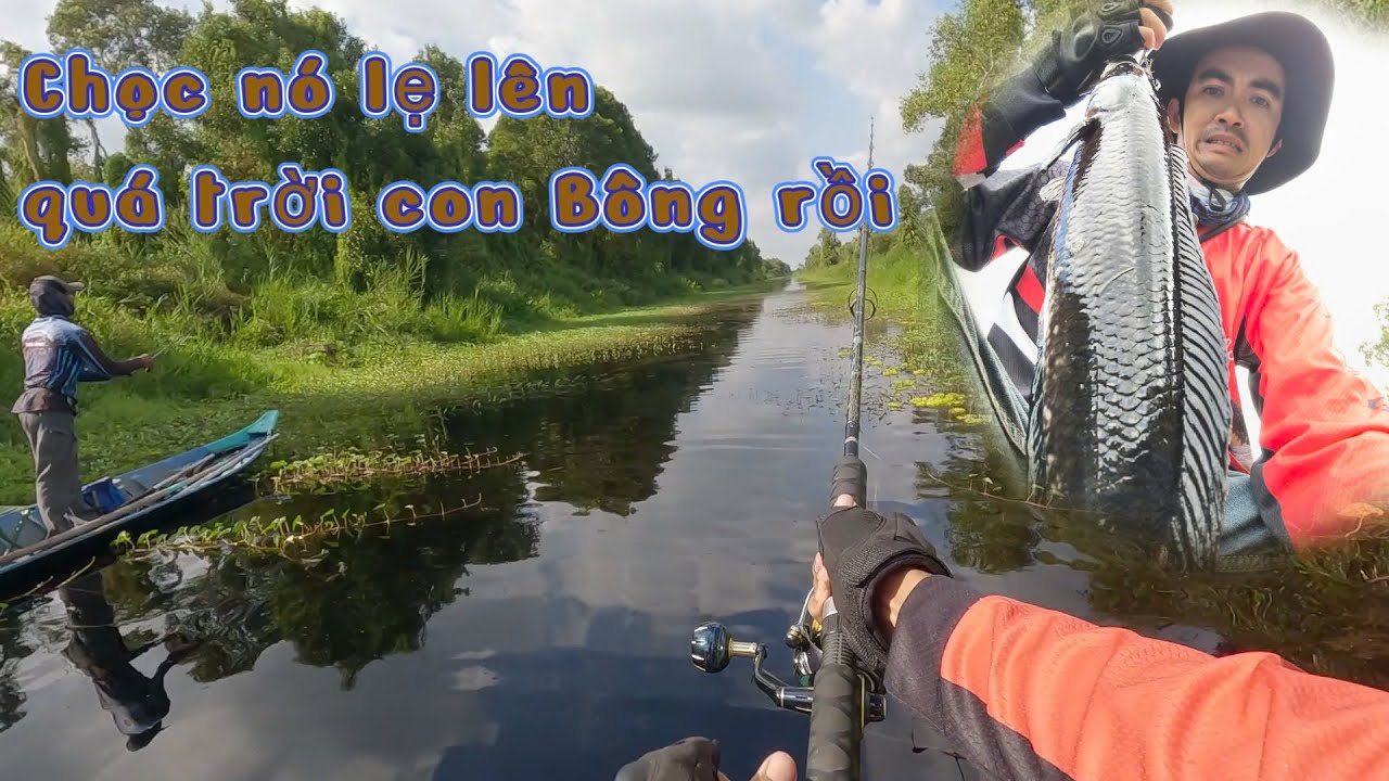 Nghe Nói Rừng U Minh Thượng Sắp Đóng Cửa, Tranh Thủ Xuống Bào Hugo Thôi || VR Fishing