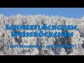 thumbnail img1x1