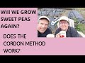 Will we grow sweet pea flowers again?