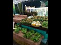 рынок.Тайланд.ХуаХин