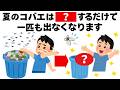 【害虫】夏に出るコバエはこれを置くだけで全滅させられます 毎日を快適にするライフハック雑学