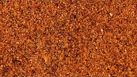 FIND HIDDEN ANIMALS (hard challenge)