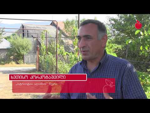 თელიანში ამბობენ, რომ სოფლის არჩეულმა დეპუტატმა იარაღი ხალხს დაუმიზნა