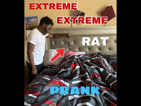 rat-prank-on-girlfriend-(extremely-funny)