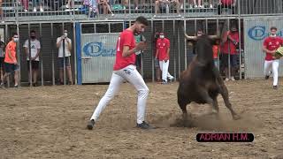 Nules(Cs) 29-08-2021 Concurso y exhibición de recortes con vacas de Granchel