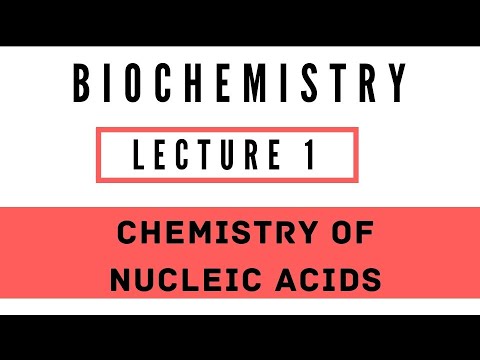 Chemistry of Nucleic Acids/ Lec 1/ Biochemistry