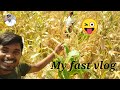 My first vlog  mk vlogger