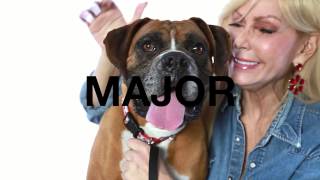 Adopt Major at NKLA