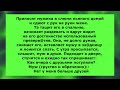 Сборник Лучших Анекдотов Смешных До Слёз Самые Смешные Пикантные Анекдотов