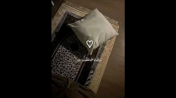 سورة المدثر🤍الشيخ خالد عبدالجليل حالات واتس اب #quran   #sheikhyasseraldosari #راحة_نفسية #قرآن
