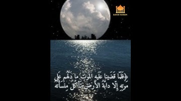 فَلَمّا قَضَينا عَلَيهِ المَوتَ ما دَلَّهُم عَلى مَوتِهِ // بصوت القارئ عبدالرشيد الصوفي