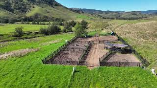 Auction Upper Hunter Prestige rural property.