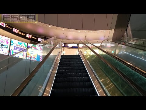 CD45枚　渋谷系セット　トラットリア　エスカレーター等まとめて CD45枚 渋谷系セット トラットリア エスカレーター等まとめて